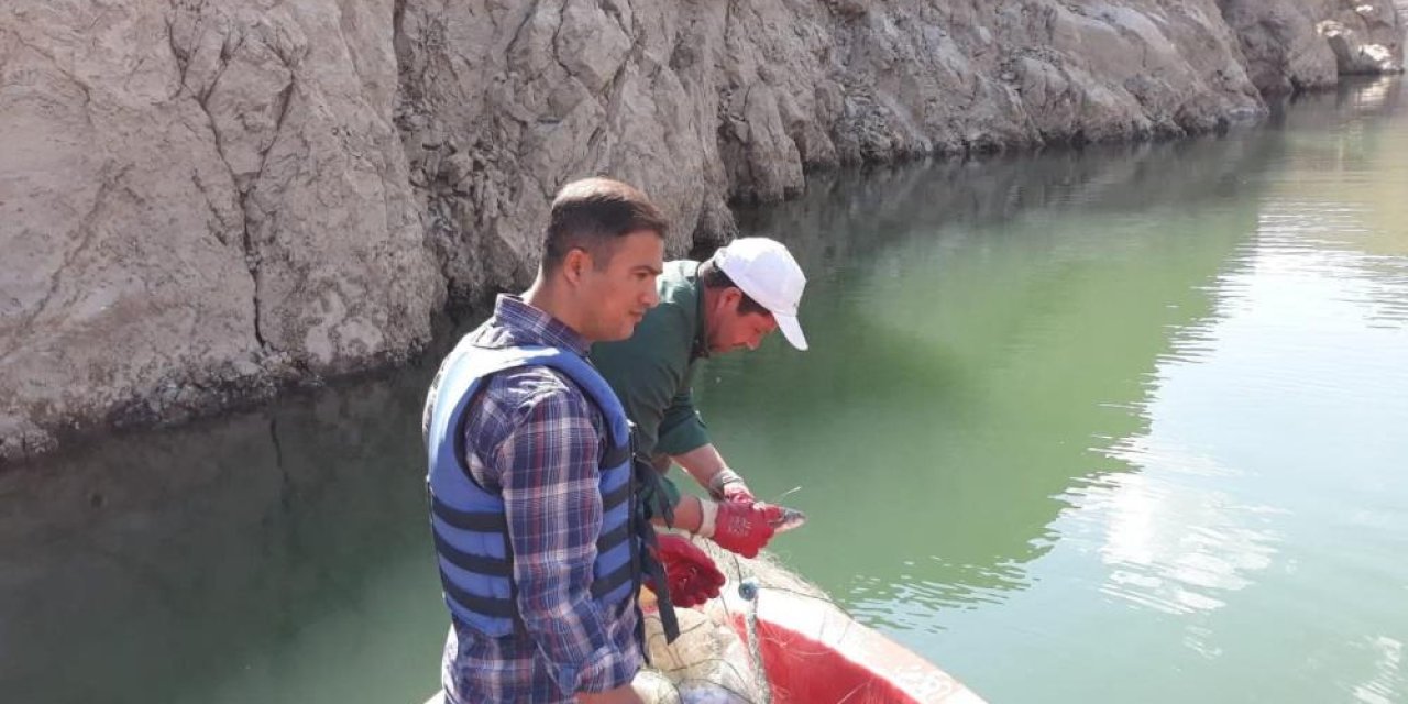 Van'da sazangiller av yasağı sona erdi