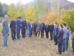 Ceviz tohumu ekimi başladı