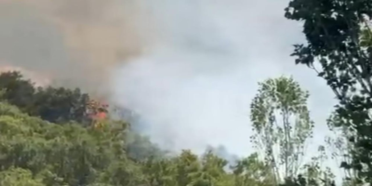 Hakkari'de orman yangını