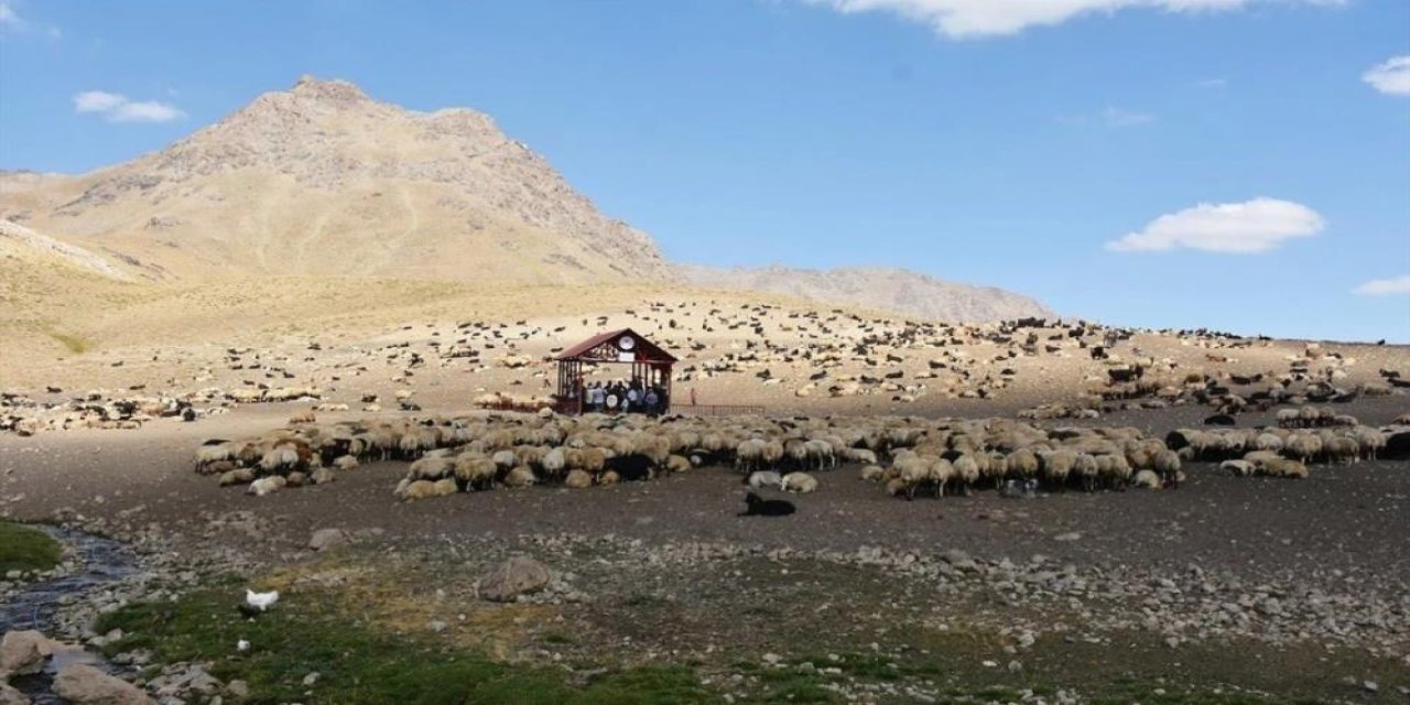 Derecik'te Şap hastalığı karantinası sona erdi