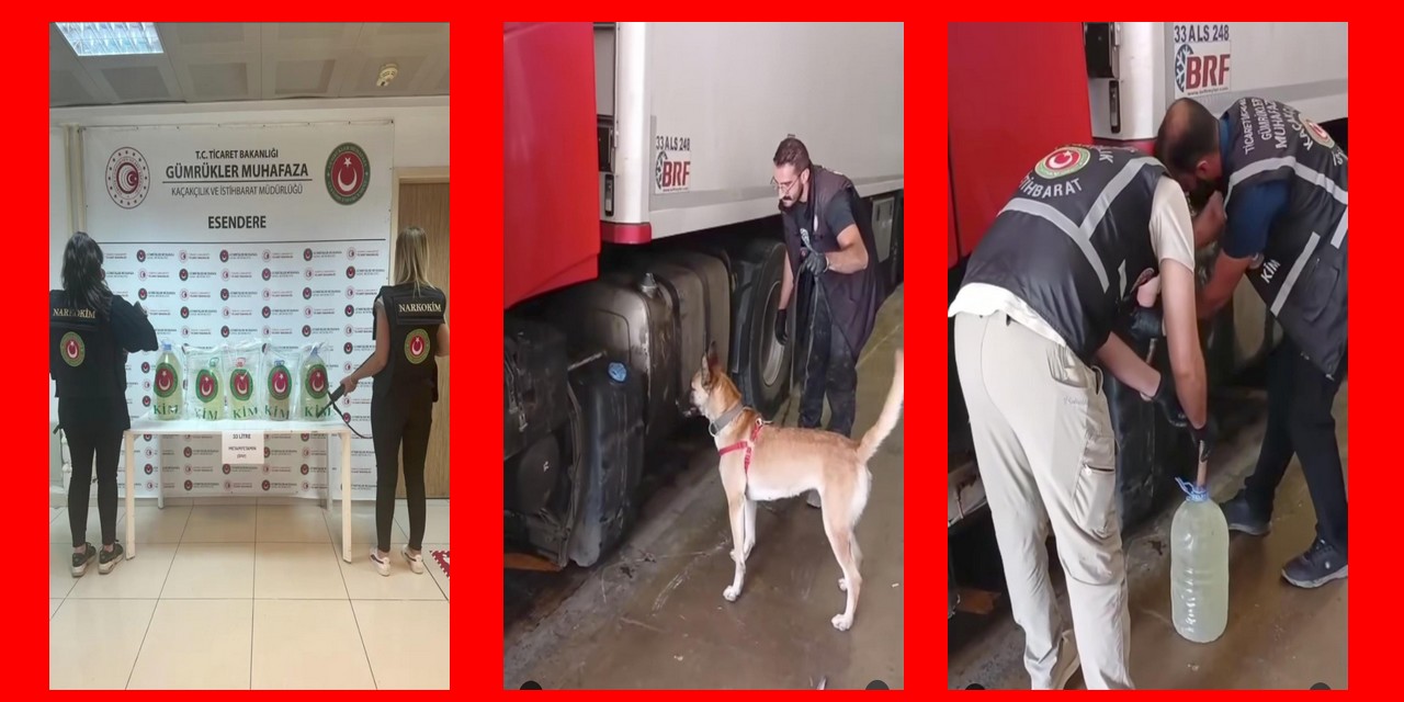 Gümrük Kapısında Uyuşturucu Operasyonu