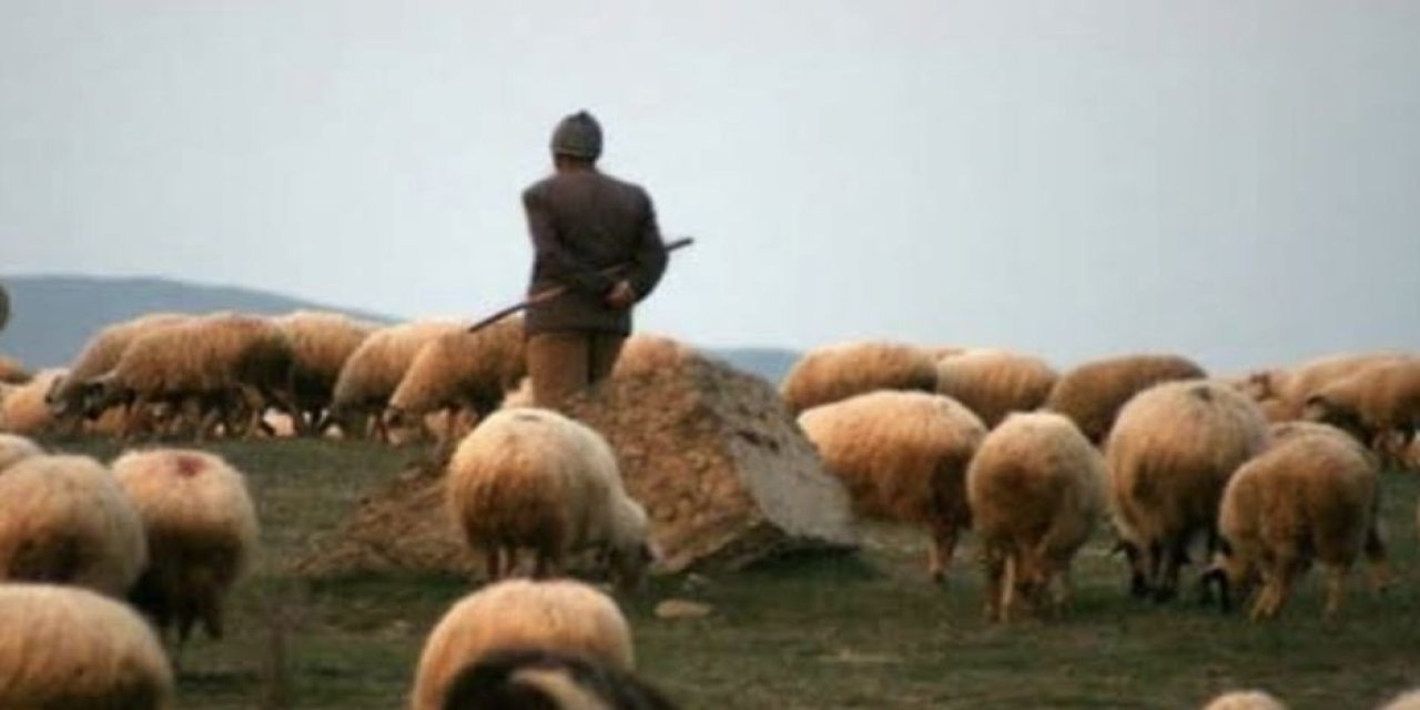 Koyun otlama tartışması 1 ölü, 2 yaralı