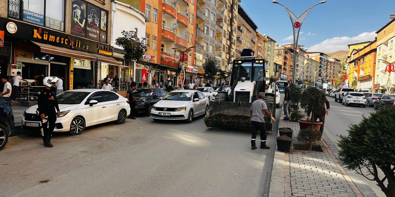 Hakkari’de 250 ağaç toprakla buluştu