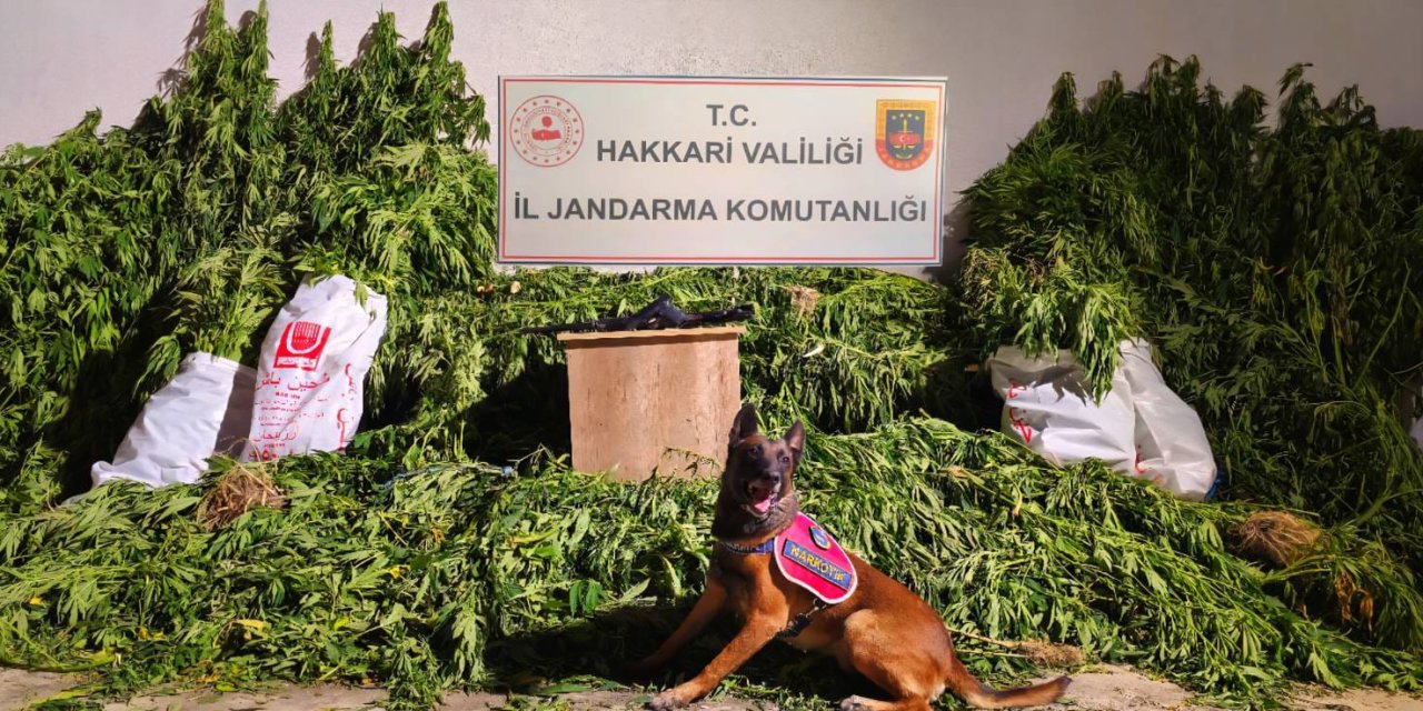 Yüksekova'da uyuşturucu operasyonu