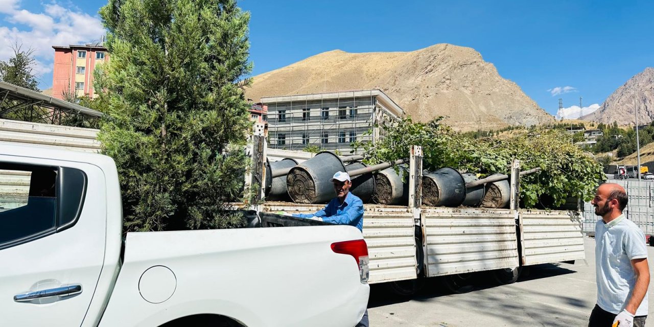 Konya Büyükşehir’den Hakkari’ye ağaç hibesi