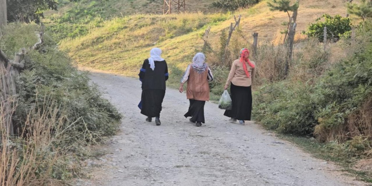 Rezan mezrası sakinleri, asfalt ve sulama suyu istiyor