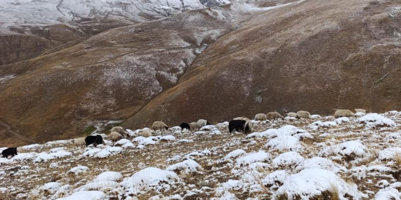 Başkale'ye yılın ilk karı yağdı