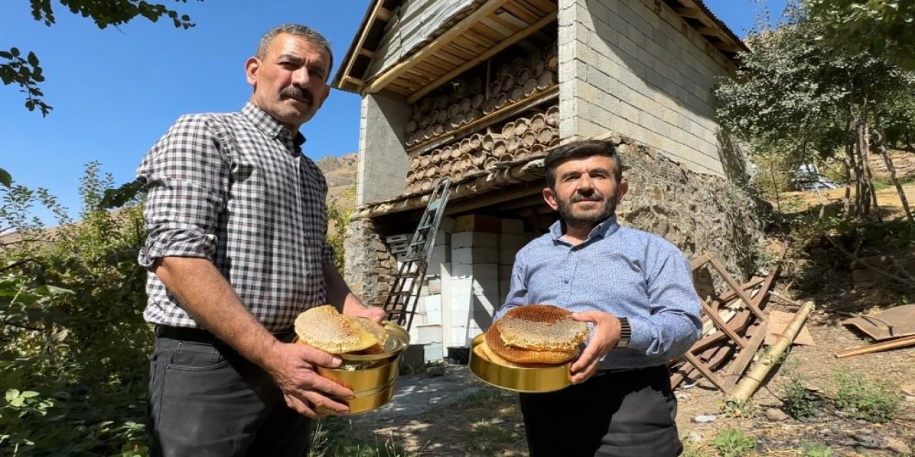 Hakkari yüksek kesimlerde bal hasadı başladı