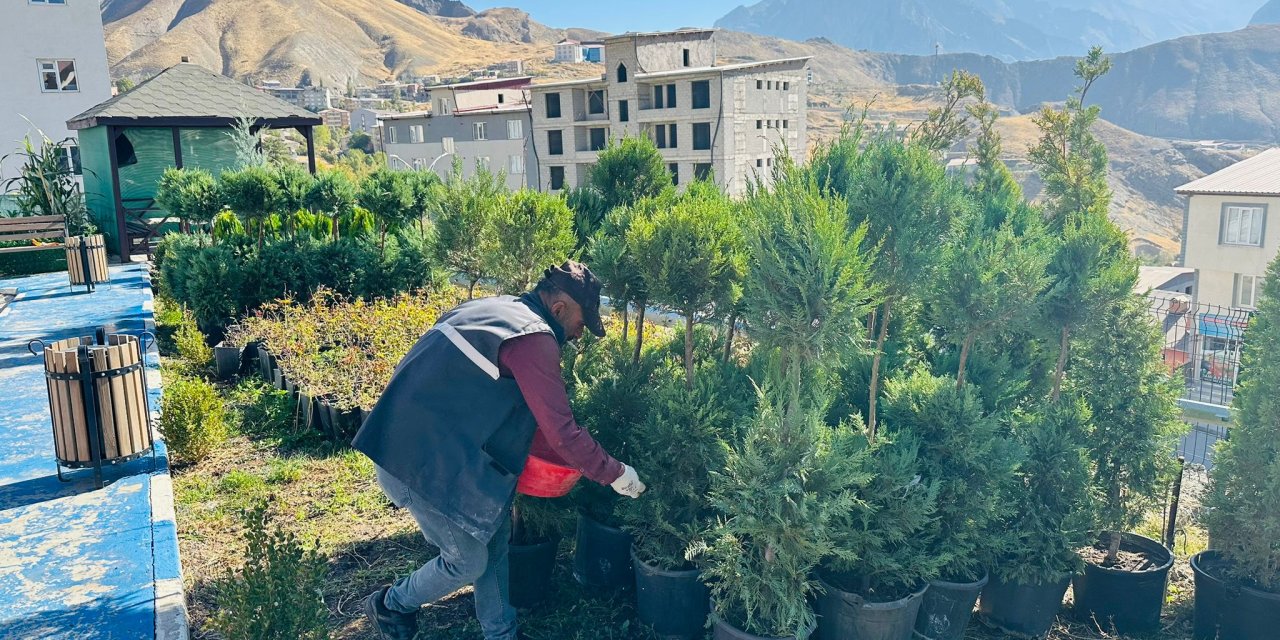 Sümbül Dağı manzaralı yeni park çalışmaları sürüyor