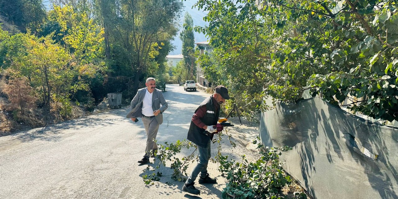 Belediye Ekipleri yollarda budama yaptı