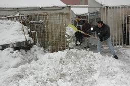 HAKKARİ GÜZEL GÖRÜNTÜLERLE UYANDI