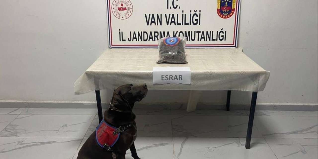 Yüksekova'da 999 gram kubar esrar ele geçirildi