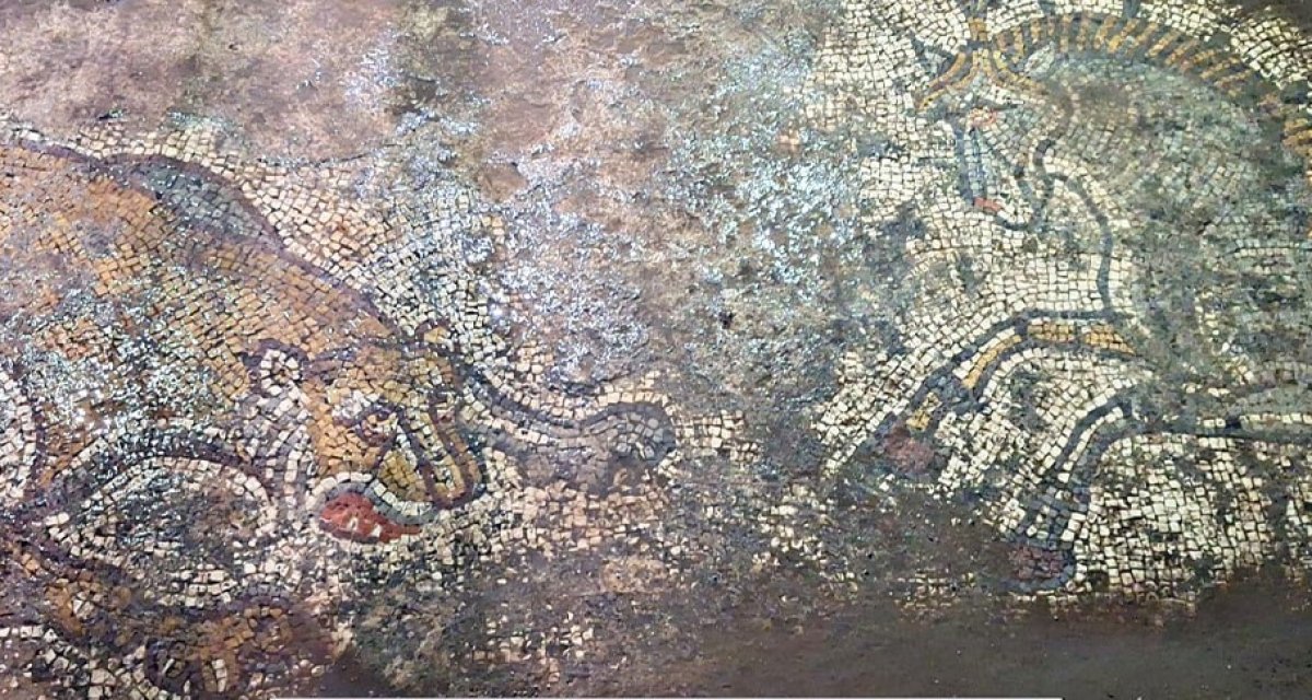 Mardin’de 1500 yıllık mozaik bulundu!