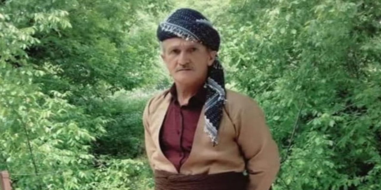 Ceviz ağacında düşen Sevmiş hayatını kaybetti