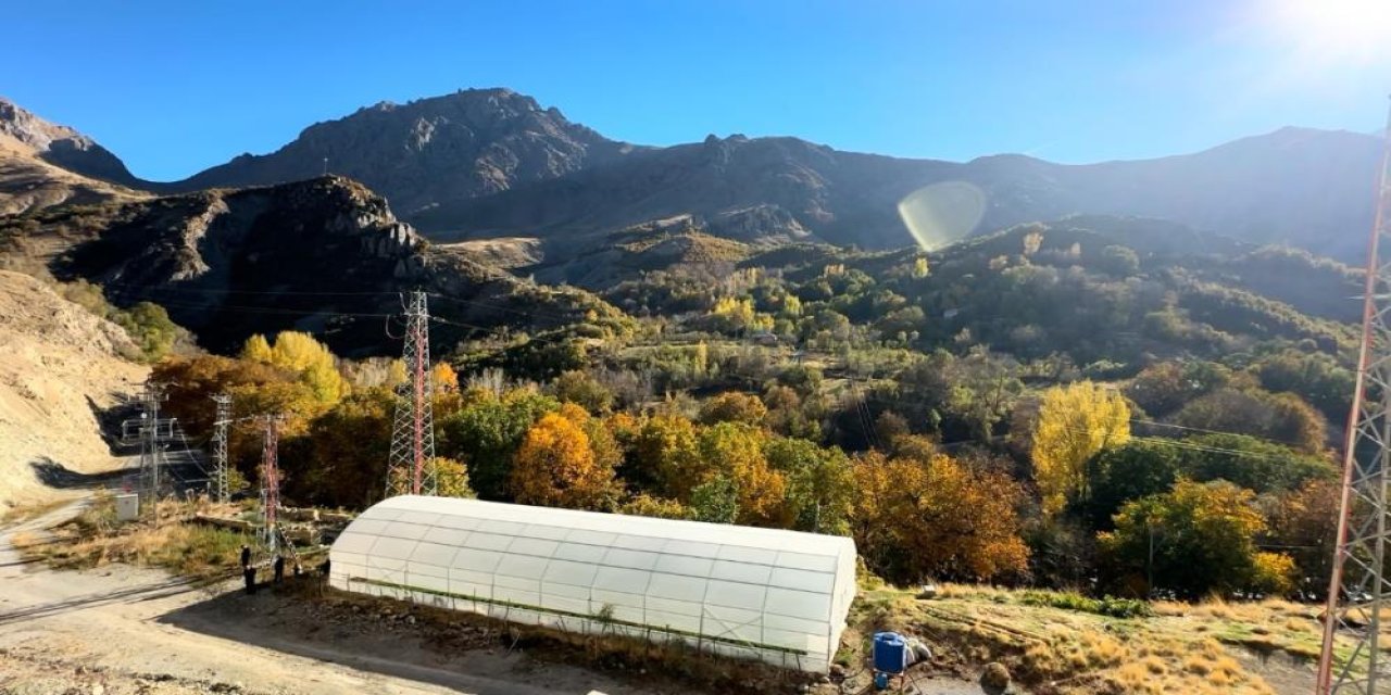 Doski Vadisi'nde seralar yeniden canlanıyor
