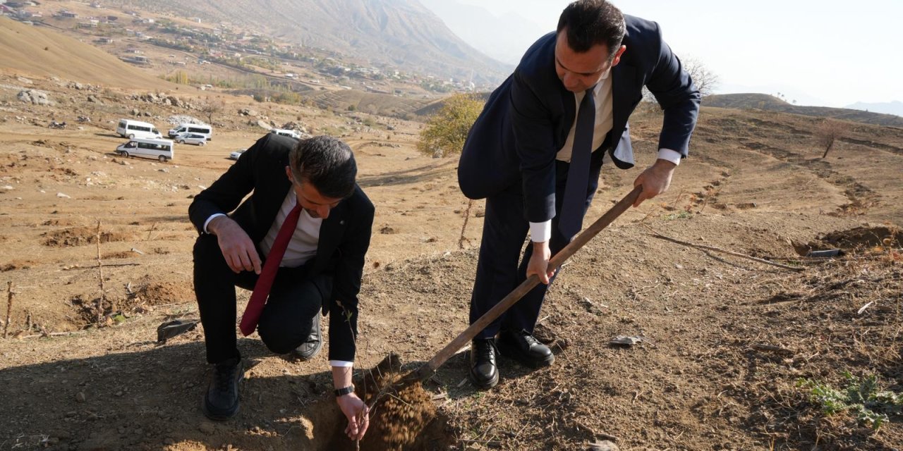 Derecik’te 500 fidan toprakla buluştu