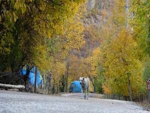 Doski Vadisi’nde renkli görüntüler