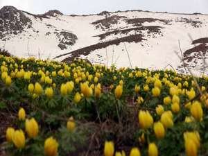 Yüksekova’da iki mevsim 2021