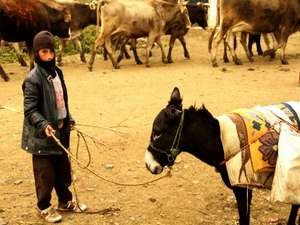 Yüksekova’da sonbahar güzelliği
