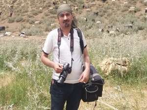 Şemdinli'de berivanların zorlu mesaisi