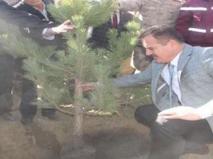 Halk, asker ve polis 50 fidan dikti