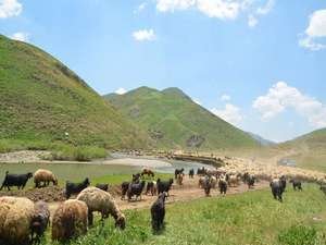 Feraşin yaylası doğaseverleri bekliyor