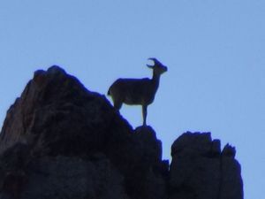 Sümbül dağı zirvesinde görsel şov