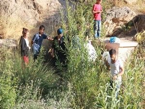 'Nivi Timeh etkinliği 2018