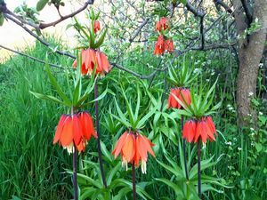 Balkaya dağına tırmanış yaptılar