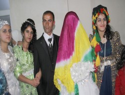 24-25 kasım 2012 Hakkari düğünleri