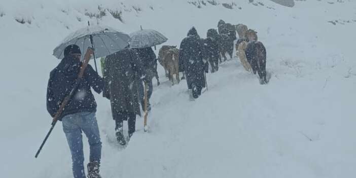 Hakkari'de dağda mahsur kalan sürü kurtarıldı