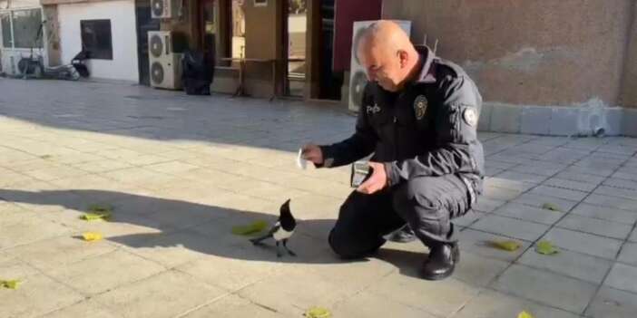 Polis memuru ile saksağan kuşu dostluğu