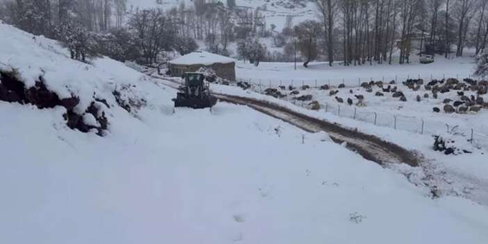 Beytüşşebap'ta kar yağışı sonrası başlatılan çalışmalar sürüyor