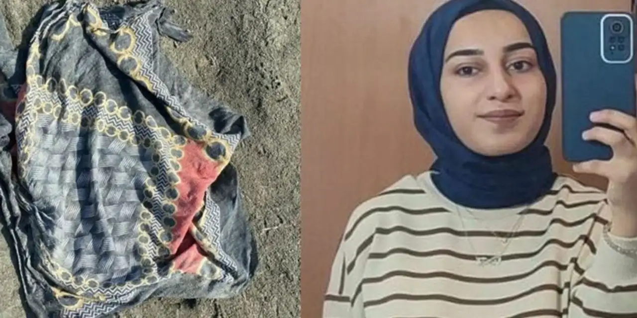 Rojin Kabaiş soruşturmasında sürpriz tanık: 'Arabaya bindirilirken gördüm'