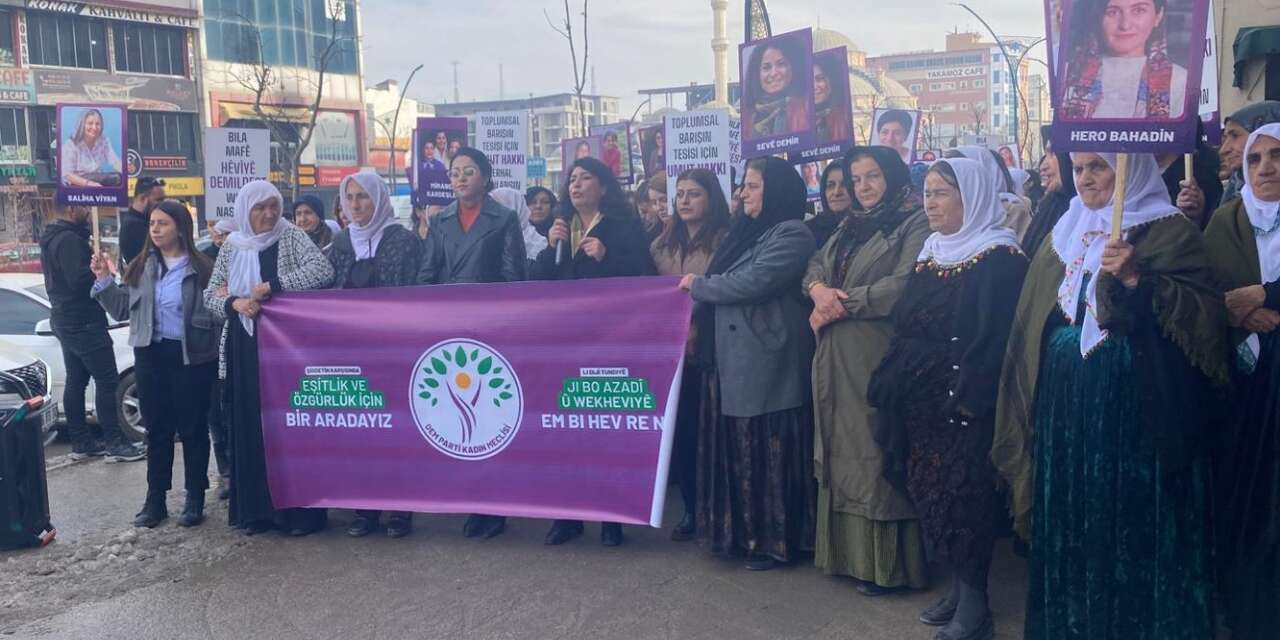 Dem Parti Yüksekova'da "Kadın şiddetine hayır" yürüyüşü düzenledi