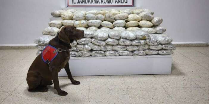 60 kilo uyuşturucu ele geçirildi