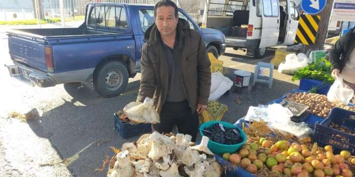 Doğuda kar Aydın'da dev mantarlar pazarda
