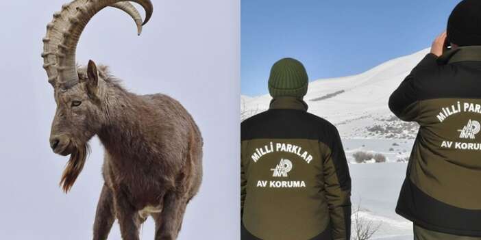 Hakkâri’de yasa dışı avcılığa ağır ceza