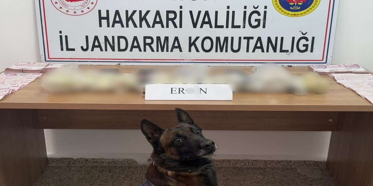 Geçimli Köyü’nde uyuşturucu operasyonu