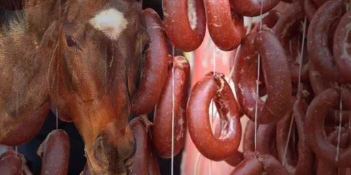 Vatandaşa at eti yedirmişler!