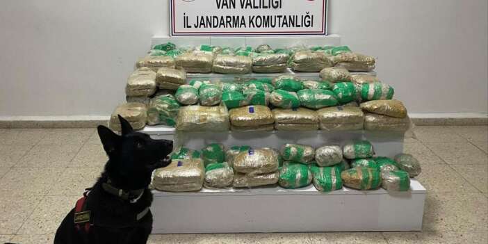 51 kilo skunk ele geçirildi