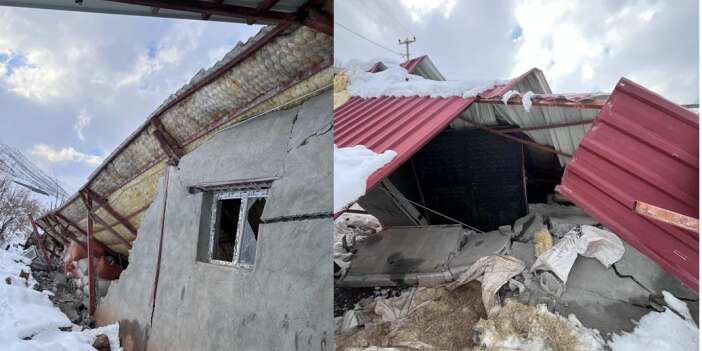 Hakkari'de kar yağışı ahırı çökertti