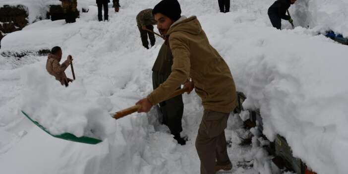 Onlarca bal arısı çığ altında kaldı