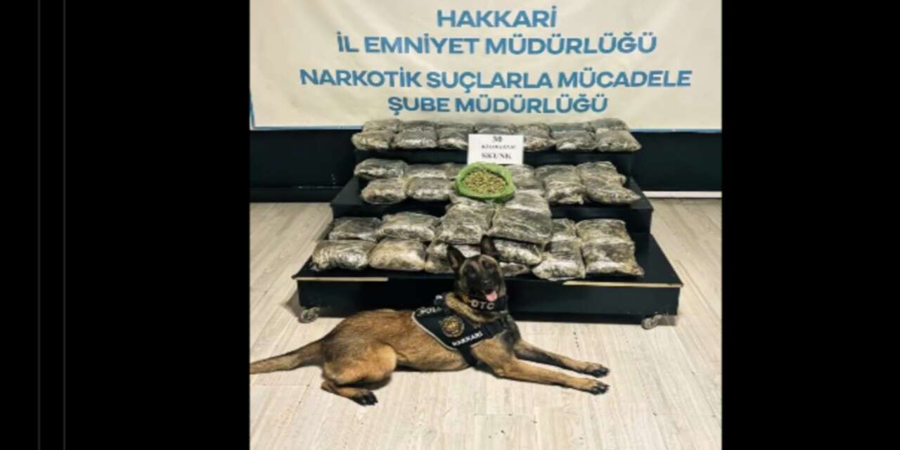 Yüksekova’da 30 kilo Skunk ele geçirildi: 2 şüpheli gözaltında