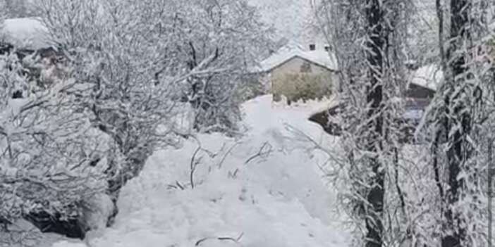 Yüksekova'da çığ yerleşim yerine indi