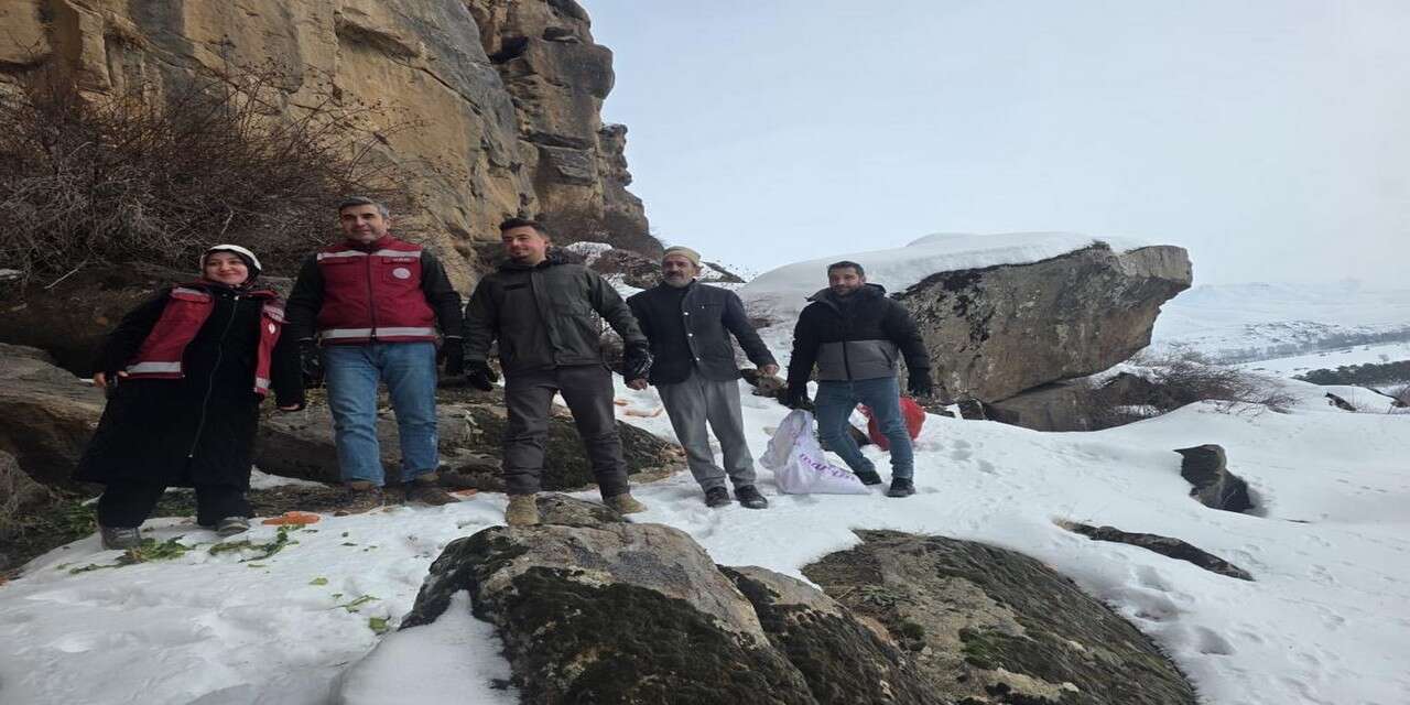 Sert kışta yaban hayvanlarına yem desteği