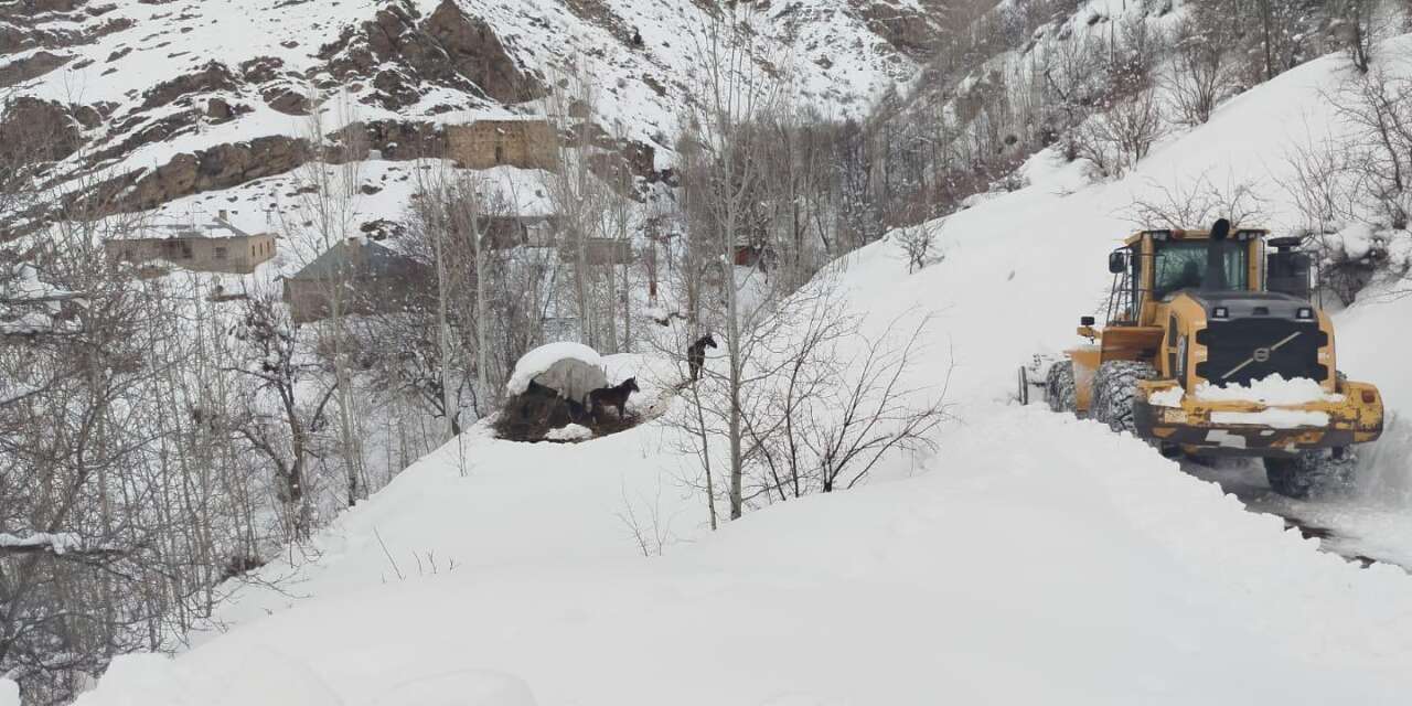 Esendere’de karda mahsur kalan 3 at kurtarıldı