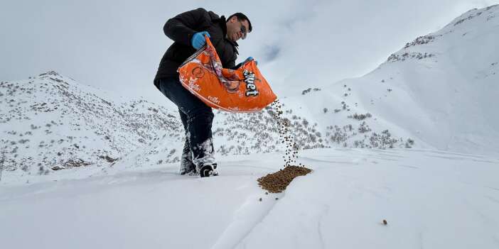 Başkan Şakar’dan Doğadaki canlara şefkat eli