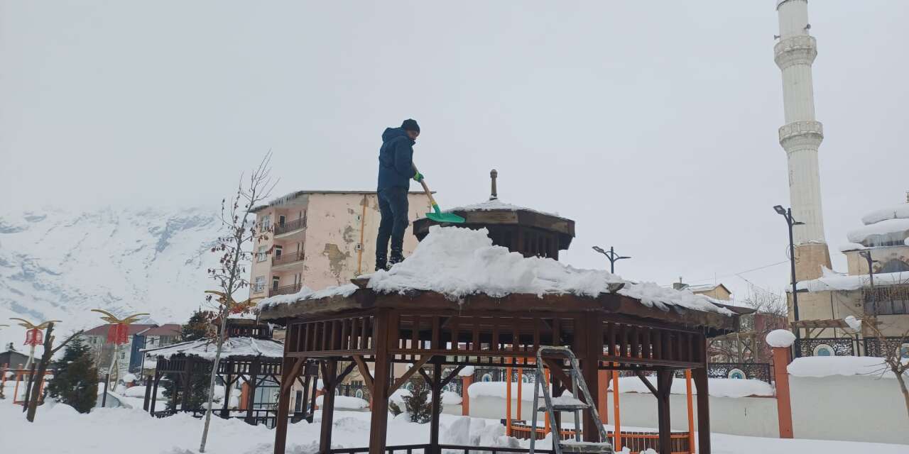 Hakkari’de Kamelyalar kardan arındırıldı