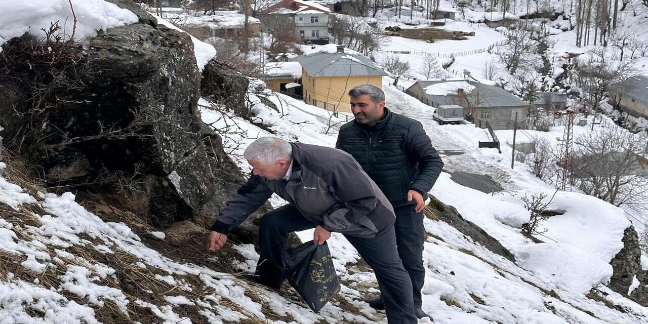 Milletvekili Özbek’ten yaban hayvanlarına yem desteği